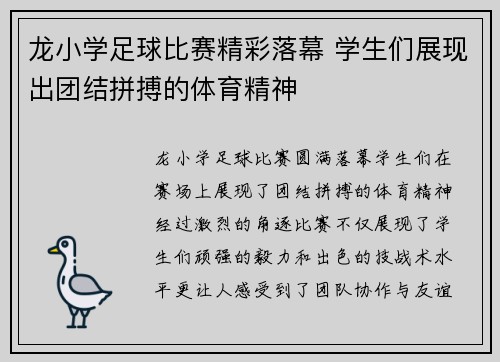 龙小学足球比赛精彩落幕 学生们展现出团结拼搏的体育精神